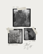 PRESET BUNDLE: West Coast  + Nostalgia Preset Packs for Desktop